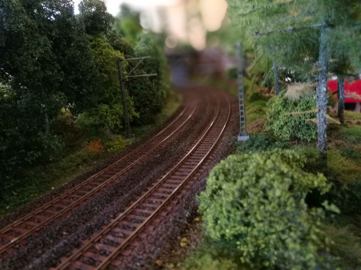 Zweigleisige Modellbahnstrecke in einer dicht bewachsenen Waldlandschaft